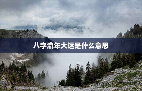 八字流年大运是什么意思