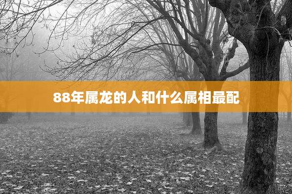 88年属龙的人和什么属相最配
