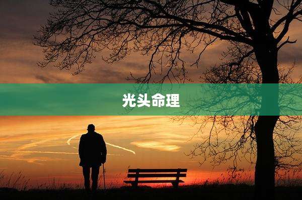 光头命理