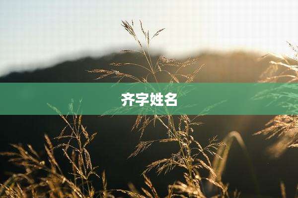 齐字姓名