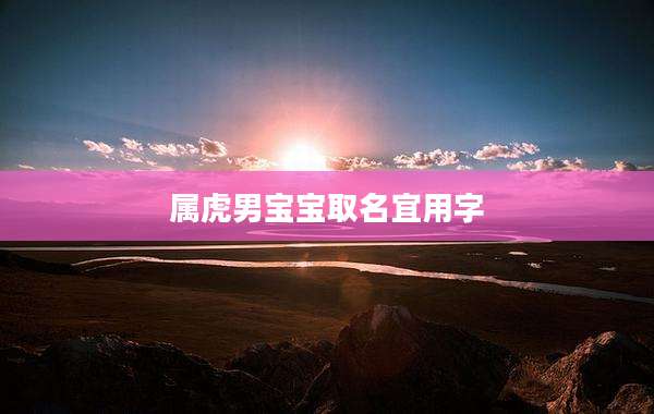 属虎男宝宝取名宜用字