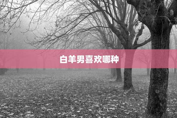 白羊男喜欢哪种