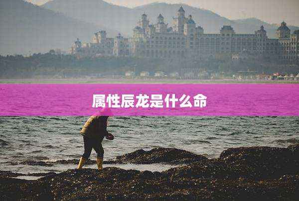 属性辰龙是什么命