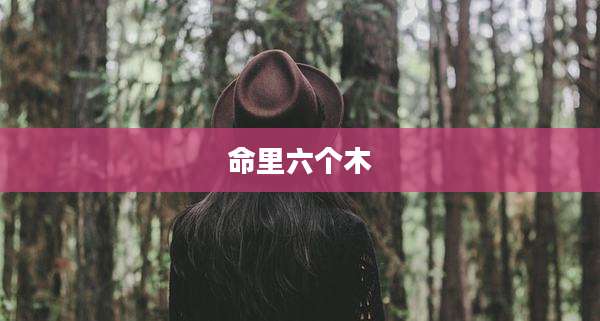 命里六个木