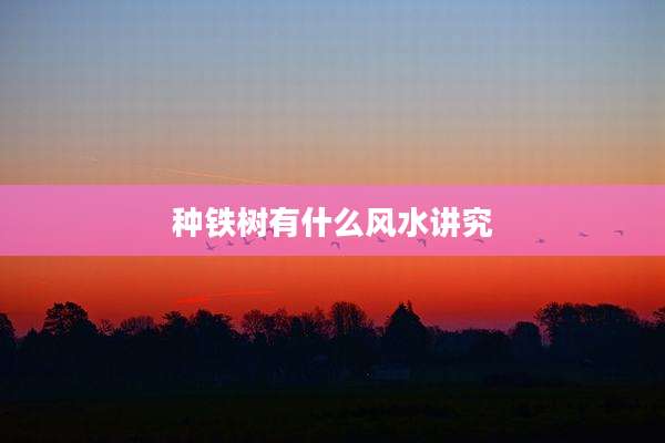 种铁树有什么风水讲究