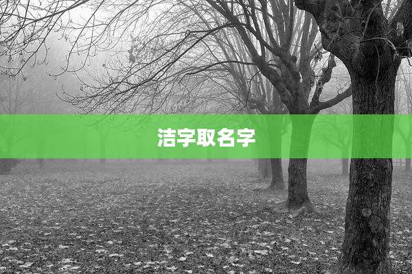 洁字取名字