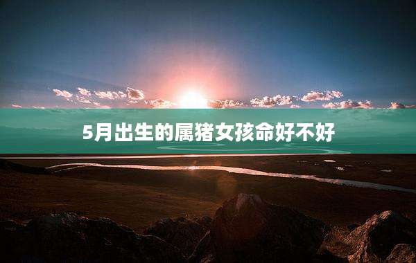 5月出生的属猪女孩命好不好