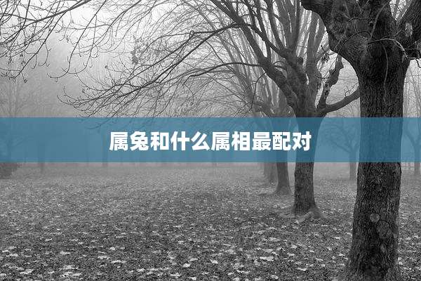 属兔和什么属相最配对