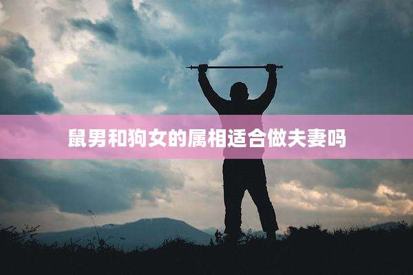 鼠男和狗女的属相适合做夫妻吗