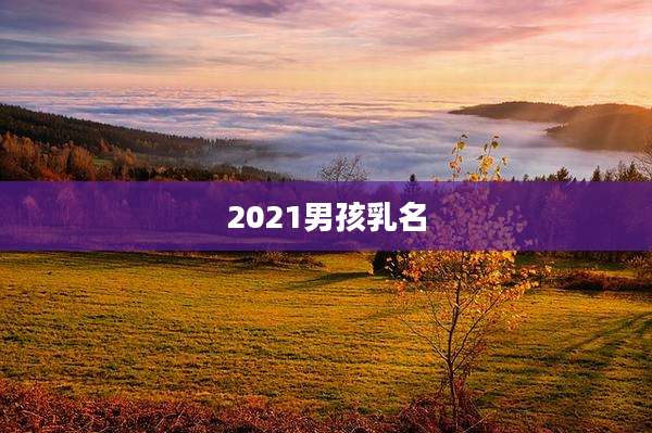 2021男孩乳名