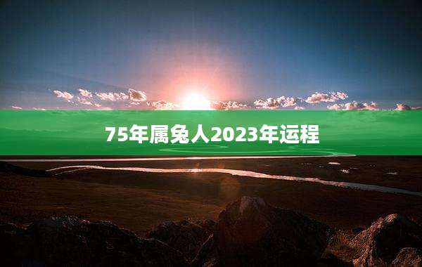 75年属兔人2023年运程