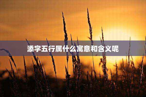 添字五行属什么寓意和含义呢