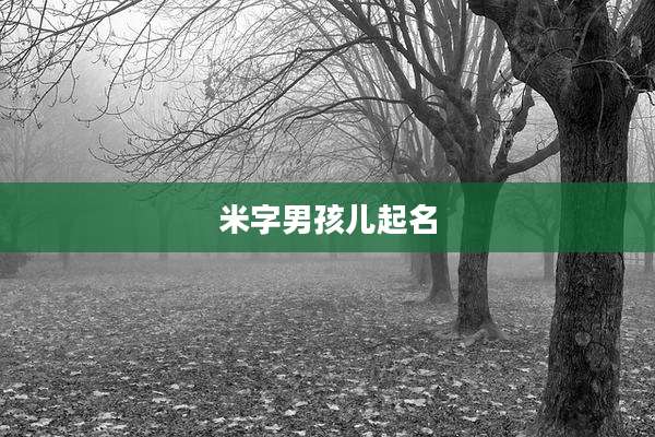 米字男孩儿起名
