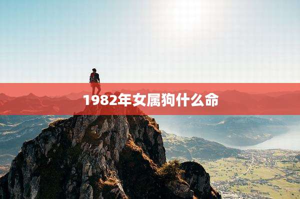 1982年女属狗什么命