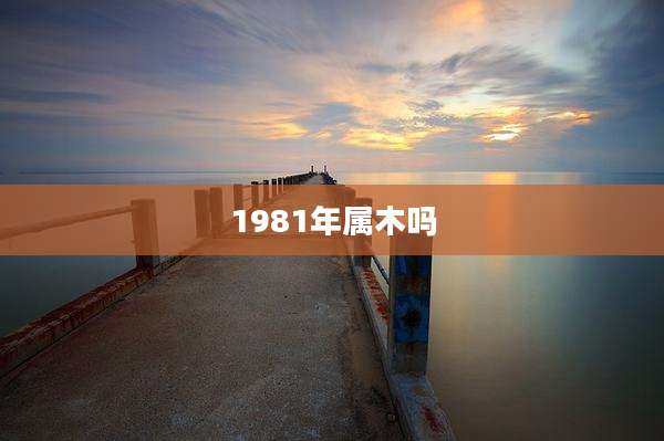 1981年属木吗