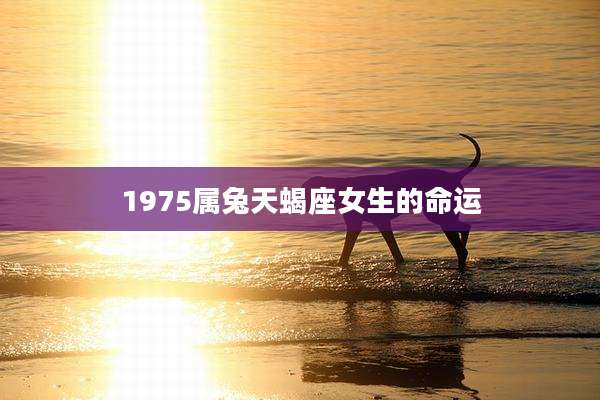 1975属兔天蝎座女生的命运