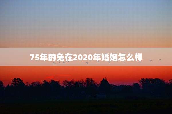 75年的兔在2020年婚姻怎么样