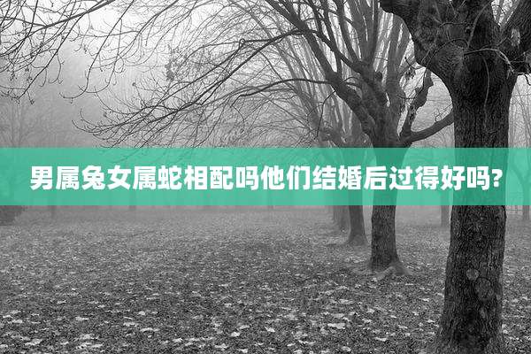 男属兔女属蛇相配吗他们结婚后过得好吗?