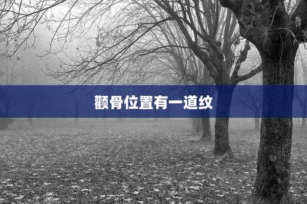 颧骨位置有一道纹