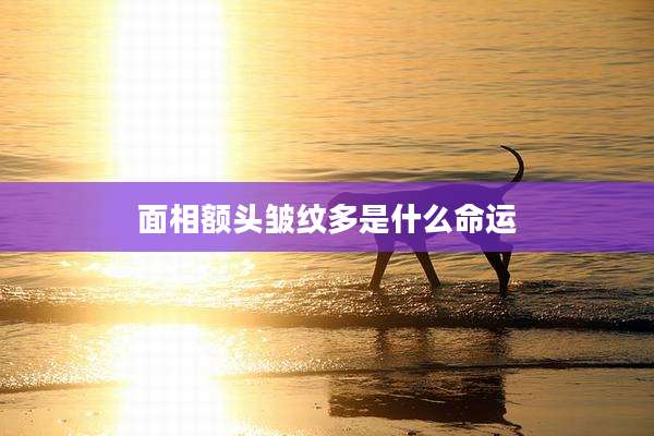 面相额头皱纹多是什么命运