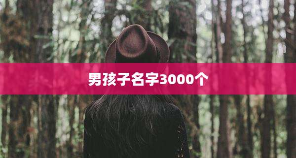 男孩子名字3000个