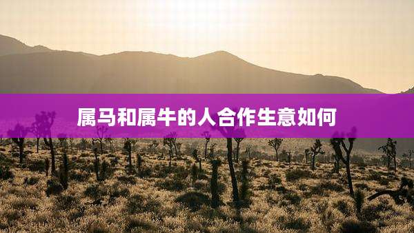 属马和属牛的人合作生意如何