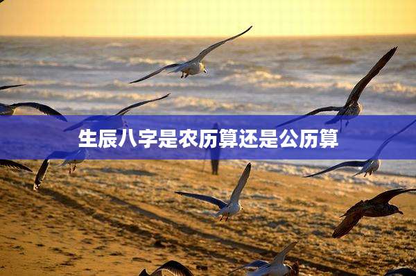 生辰八字是农历算还是公历算