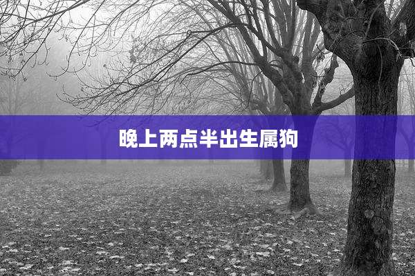 晚上两点半出生属狗