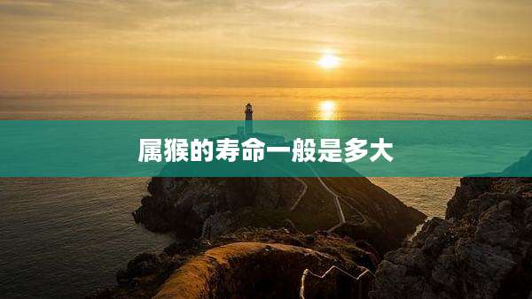 属猴的寿命一般是多大