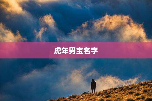 虎年男宝名字