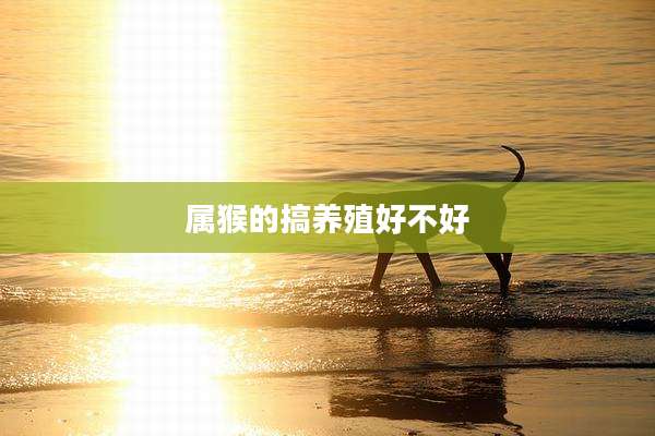 属猴的搞养殖好不好