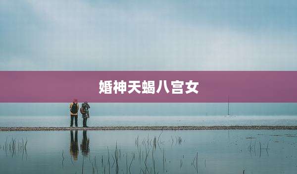 婚神天蝎八宫女