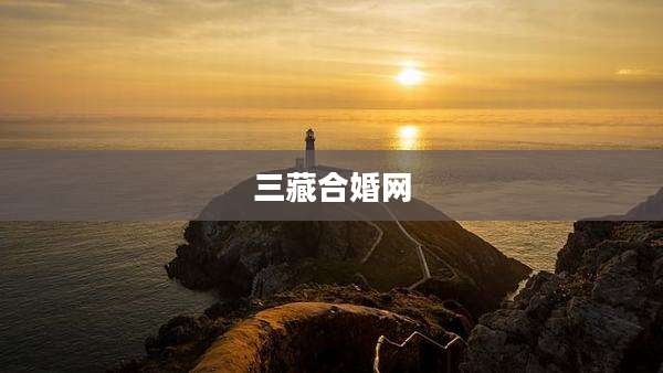 三藏合婚网