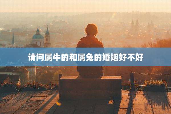 请问属牛的和属兔的婚姻好不好