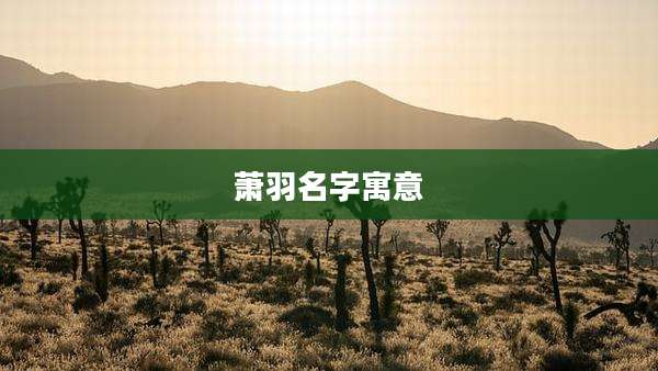 萧羽名字寓意