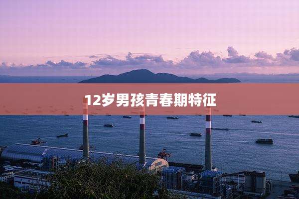 12岁男孩青春期特征
