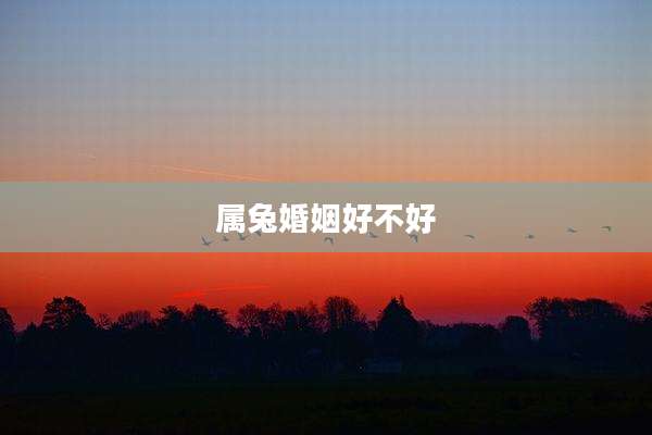 属兔婚姻好不好