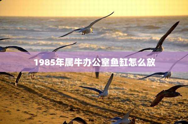 1985年属牛办公室鱼缸怎么放