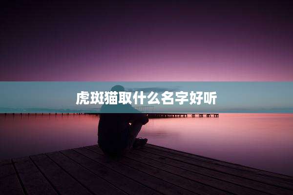 虎斑猫取什么名字好听