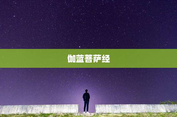 伽蓝菩萨经