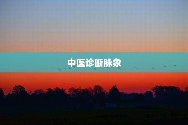中医诊断脉象