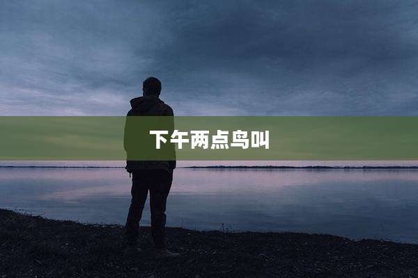 下午两点鸟叫