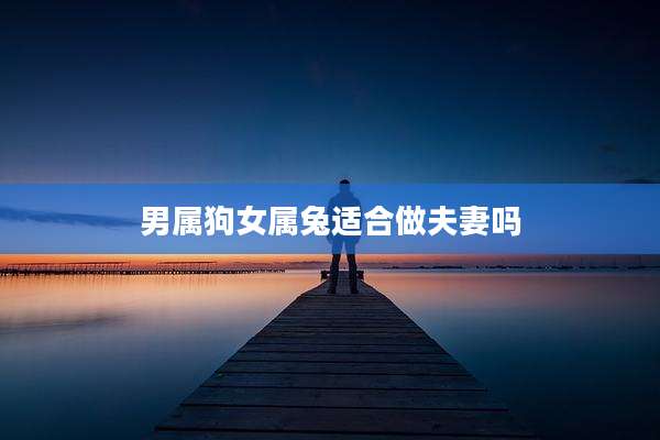 男属狗女属兔适合做夫妻吗