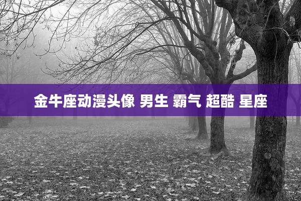 金牛座动漫头像 男生 霸气 超酷 星座