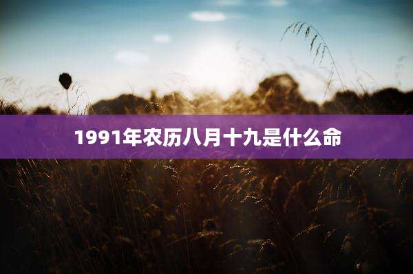 1991年农历八月十九是什么命