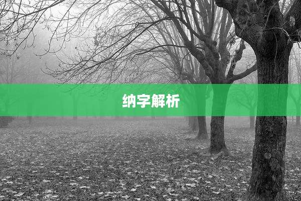 纳字解析