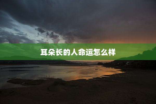 耳朵长的人命运怎么样