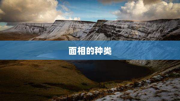 面相的种类