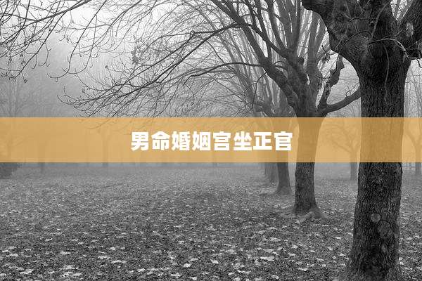 男命婚姻宫坐正官