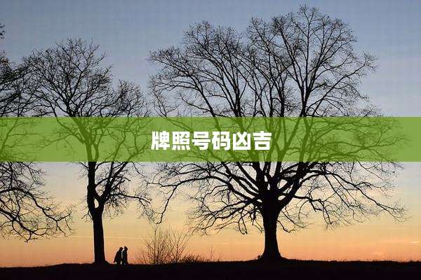 牌照号码凶吉